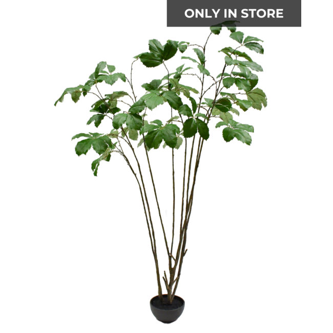 SILK-KA | Silk-ka | Kastanje I/Pot | Groen | 230cm | Only in store!