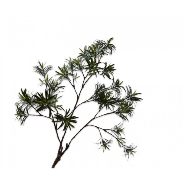 SILK-KA | Silk-ka | Bladtak Podocarpus | Groen | 89cm