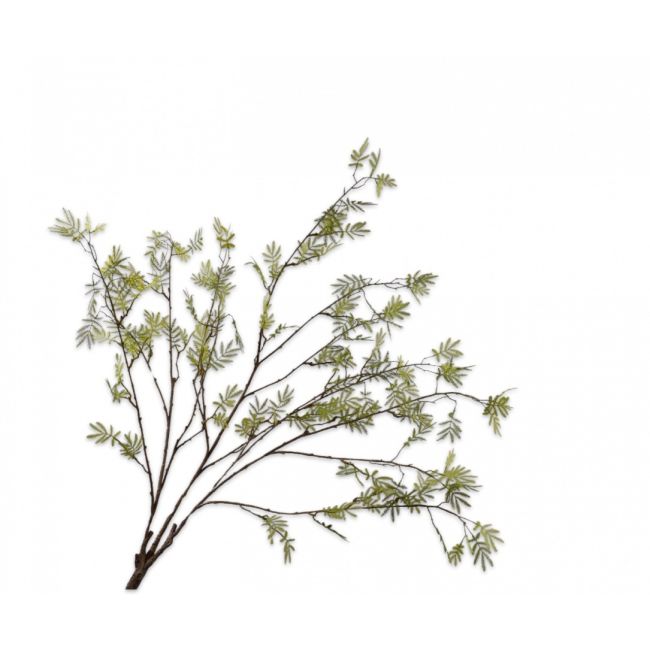 SILK-KA | Silk-ka | Mimosa Bush | Groen | 110cm