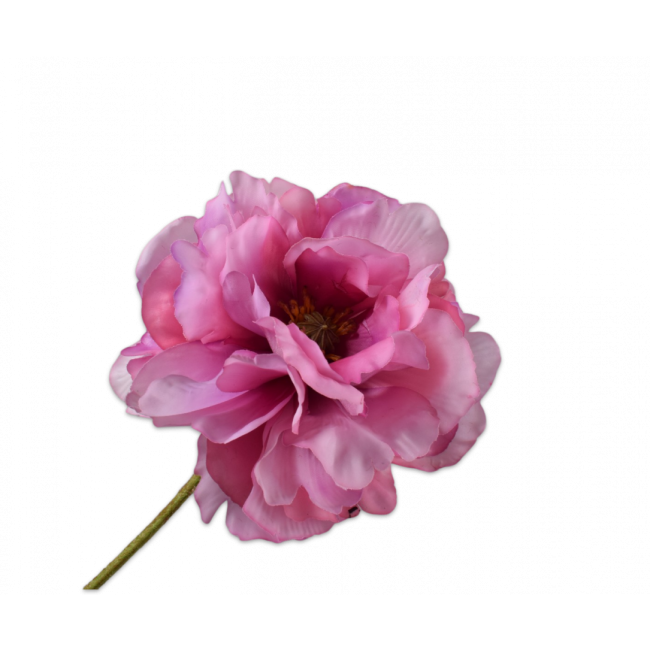 SILK-KA | Silk-ka | Klaproos Steel | Mauve/Groen | 73cm