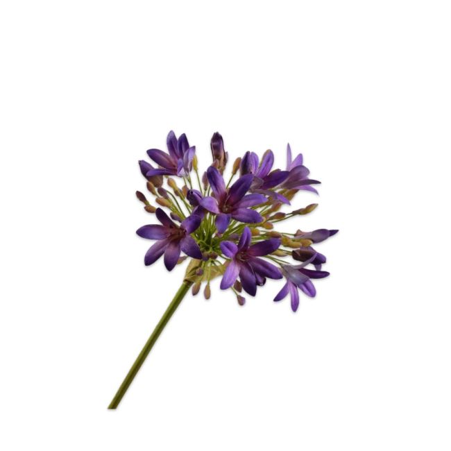 SILK-KA | Silk-ka | Agapanthus Steel | Paars | 92cm
