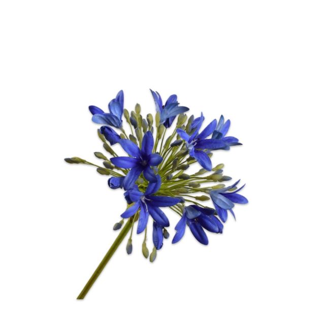 SILK-KA | Silk-ka | Agapanthus Steel | Blauw | 92cm