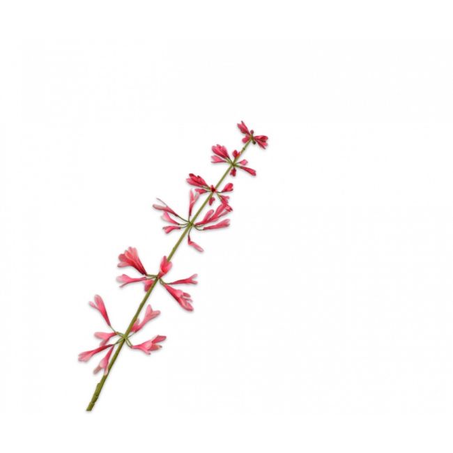 SILK-KA | Silk-ka | Salvia Steel Beauty | 111cm