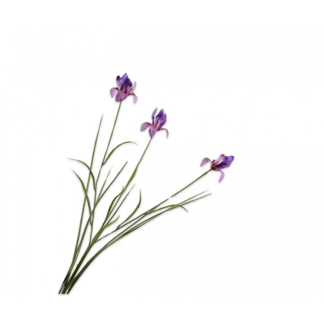 SILK-KA | Silk-ka | Iris Tak Paars | 71cm