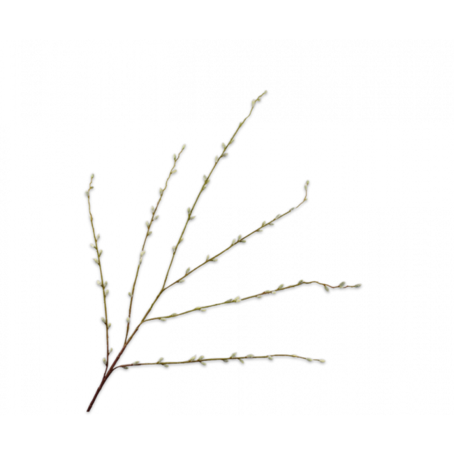 SILK-KA | Silk-ka | Wilgentak Groen | 111cm