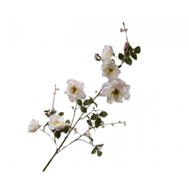 SILK-KA | Silk-ka | Roos Tak Wit | 160cm