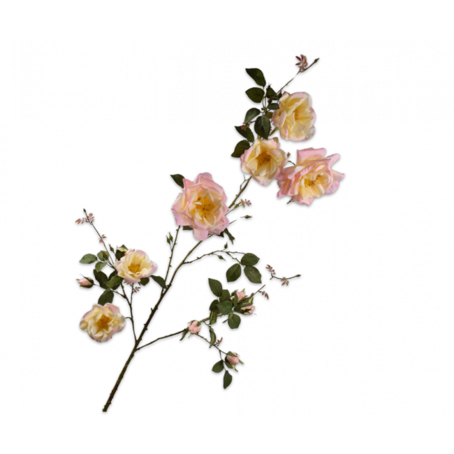 SILK-KA | Silk-ka | Roos Tak Roze/Geel | 160cm