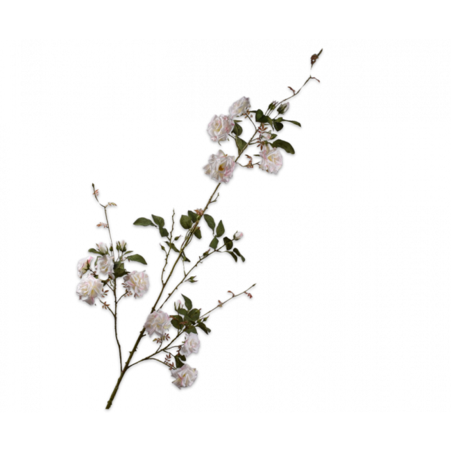 SILK-KA | Silk-ka | Roos Tak Wit/Roze | 153cm