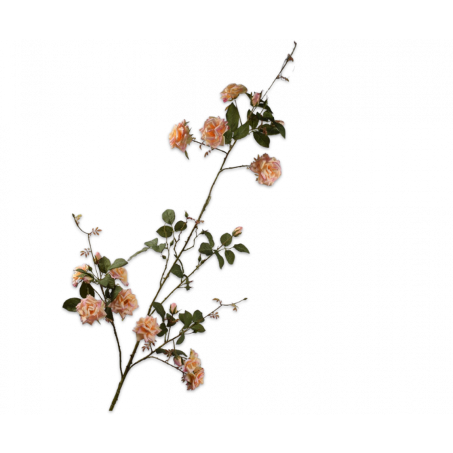 SILK-KA | Silk-ka | Roos Tak | Perzik | 153cm