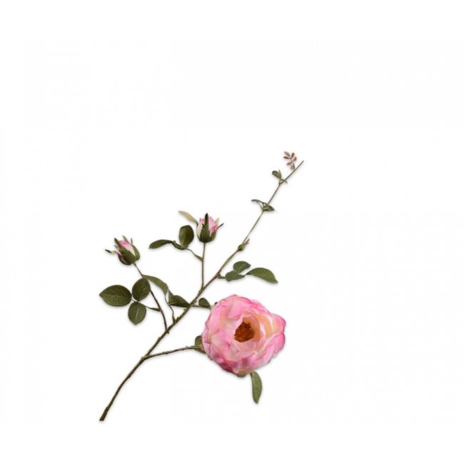 SILK-KA | Silk-ka | Roos Tak Roze | 80cm