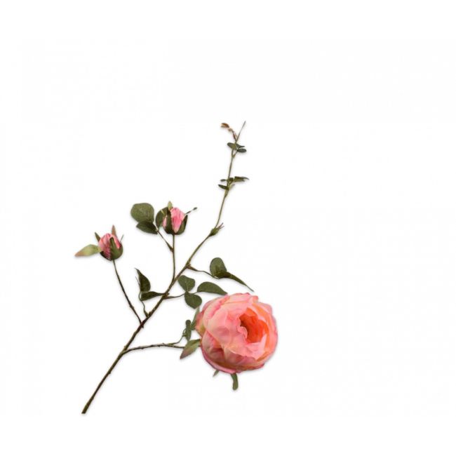 SILK-KA | Silk-ka | Roos Tak Zalm | 80cm