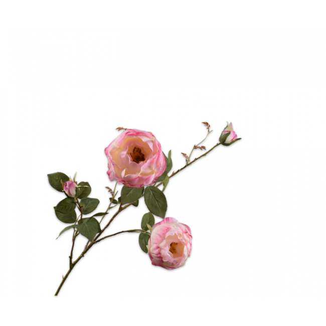 SILK-KA | Silk-ka | Roos Tak Roze | 102cm