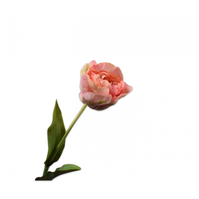 SILK-KA | Silk-ka | Tulp steel Roze/Groen | 84cm