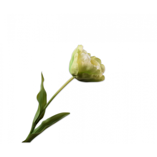 SILK-KA | Silk-ka | Tulp Steel Groen/Wit | 84cm