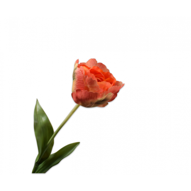 SILK-KA | Silk-ka | Tulp Steel Oranje | 84cm