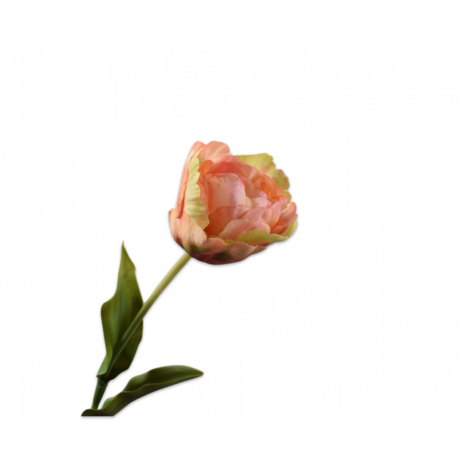 SILK-KA | Silk-ka | Tulp Steel Perzik/Groen | 84cm