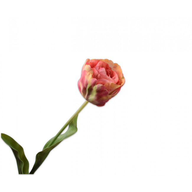 SILK-KA | Silk-ka | Tulp Steel Roze/Geel | 84cm