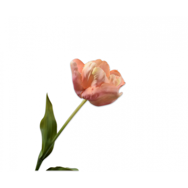 SILK-KA | Silk-ka | Tulp Roze/Crème | 84cm