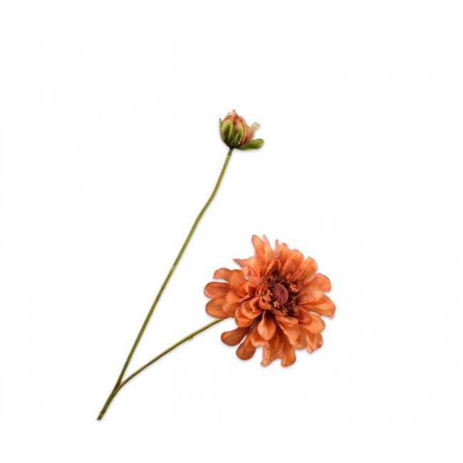 SILK-KA | Silk-ka | Zinnia Tak | Oranje | 62cm