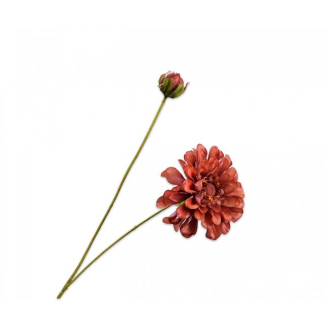 SILK-KA | Silk-ka | Zinnia Tak | Bruin | 62cm