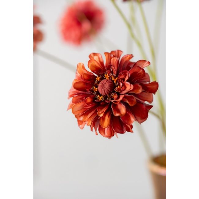 SILK-KA | Silk-ka | Zinnia Tak | Bruin | 62cm