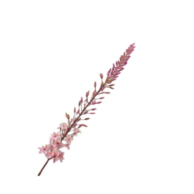 SILK-KA | Silk-ka | Eremurus Steel | Roze | 107cm