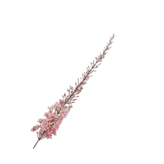 SILK-KA | Silk-ka | Eremurus Steel | Roze | 161cm