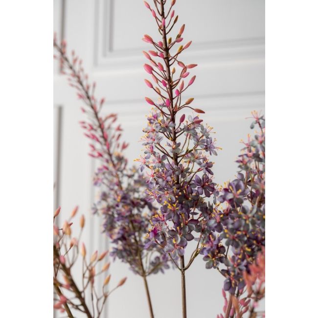 SILK-KA | Silk-ka | Eremurus Steel | Paars | 161cm