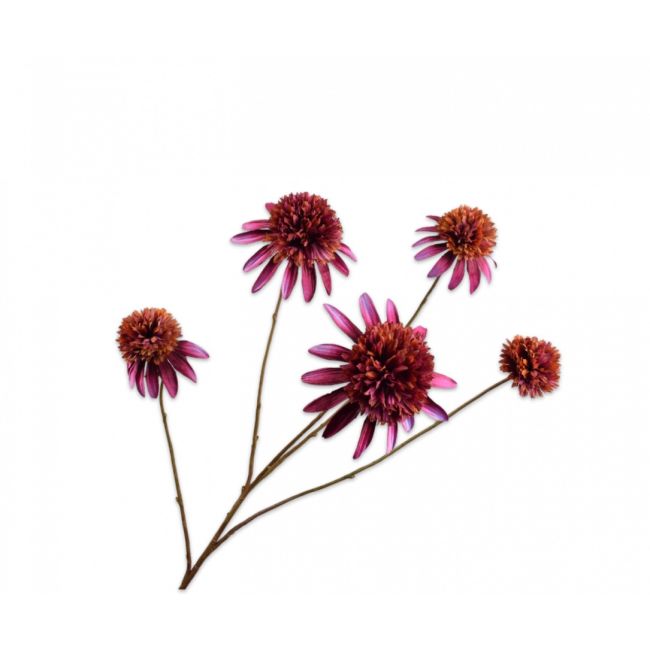 SILK-KA | Silk-ka | Rudbeckia Tak | Paars | 90cm