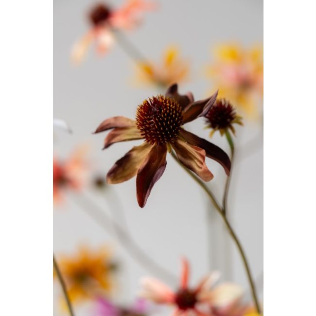 SILK-KA | Silk-ka | Rudbeckia Tak | Bordeaux | 91cm