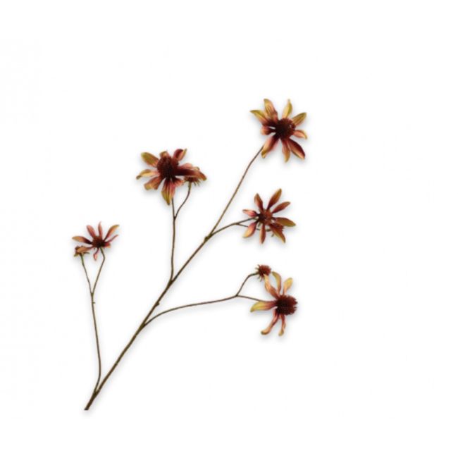 SILK-KA | Silk-ka | Rudbeckia Tak | Crème/Bruin | 91cm