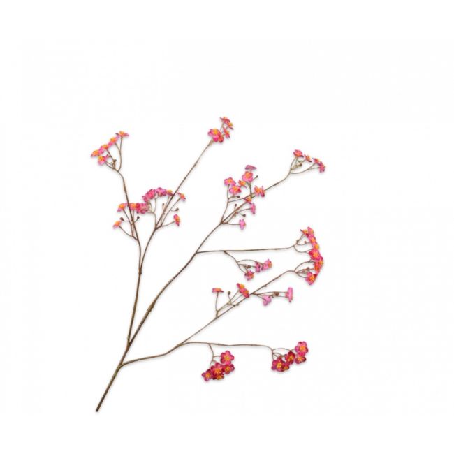 SILK-KA | Silk-ka | Vergeetmeniet Tak | Beauty | 76cm