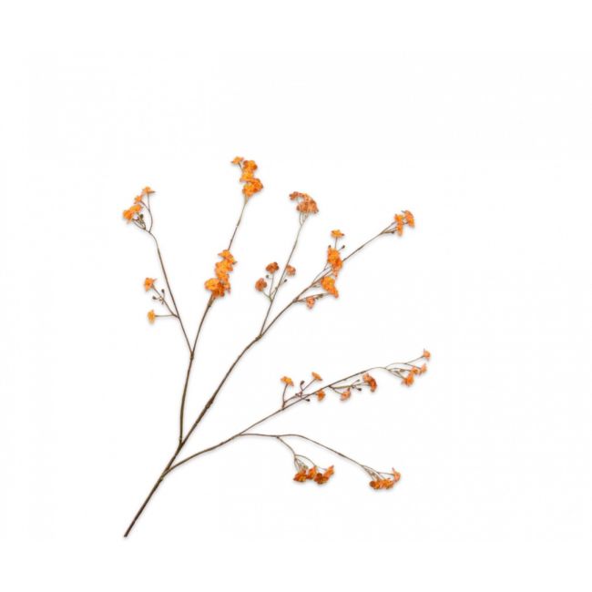 SILK-KA | Silk-ka | Vergeetmeniet Tak | Oranje | 76cm