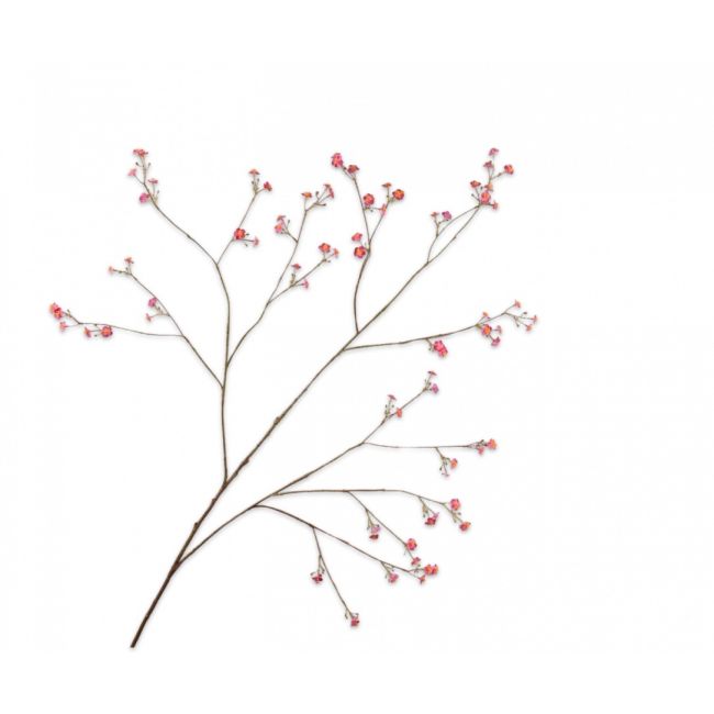 SILK-KA | Silk-ka | Vergeetmeniet Tak | Beauty | 132cm