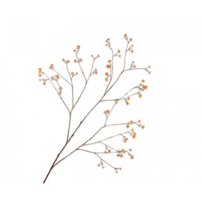 SILK-KA | Silk-ka | Vergeetmeniet Tak | Oranje | 132cm