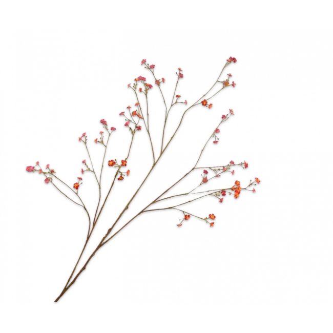 SILK-KA | Silk-ka | Vergeetmeniet Tak | Rood/Oranje | 132cm