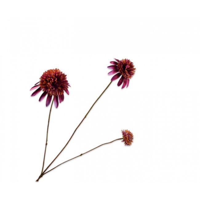 SILK-KA | Silk-ka | Rudbeckia Tak | Paars | 66cm