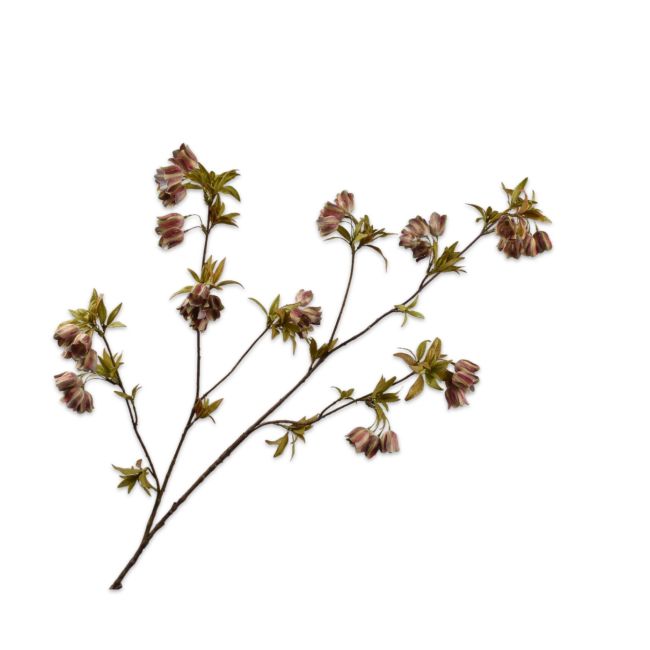 SILK-KA | Silk-ka | Campanula Tak | Groen/Bruin | 112cm