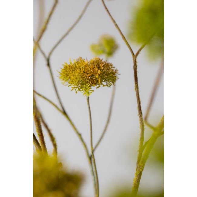 SILK-KA | Silk-ka | Mos Tak | Groen/Bruin | 94cm