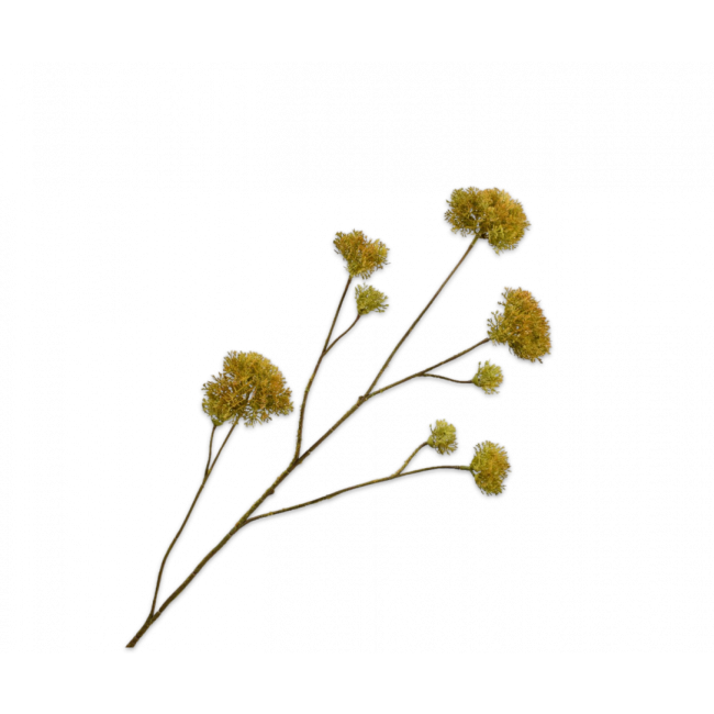 SILK-KA | Silk-ka | Mos Tak | Groen/Bruin | 94cm