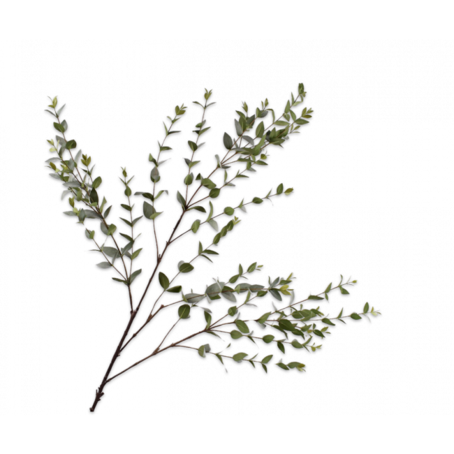 SILK-KA | Silk-ka | Bladtak | Groen | 137cm