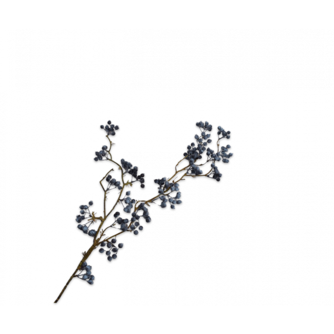 SILK-KA | Silk-ka | Bessentak | Blauw | 99cm