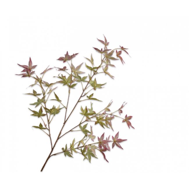 SILK-KA | Silk-ka | Bladtak | Groen/Meave | 120cm