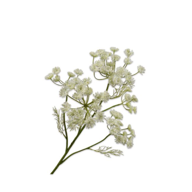 SILK-KA | Silk-ka | Dille Tak | Crème | 79cm