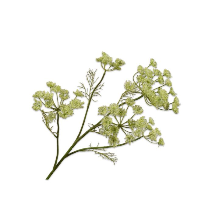 SILK-KA | Silk-ka | Dille Tak | Groen | 79cm