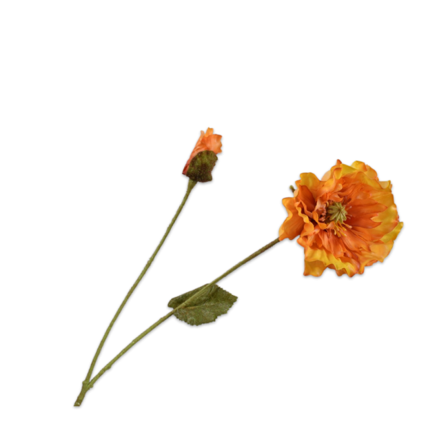 SILK-KA | Silk-ka | Klaproos Tak | Geel/Oranje | 74cm