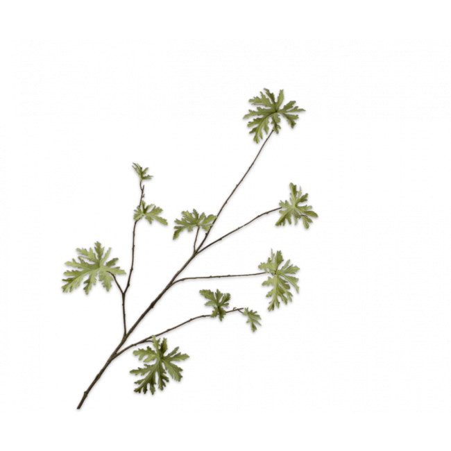 SILK-KA | Silk-ka | Geranium Tak | Groen | 117cm