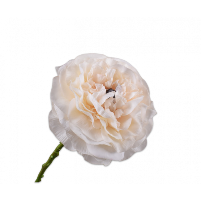 SILK-KA | Silk-ka | Ranonkel Steel | Creme | 62cm