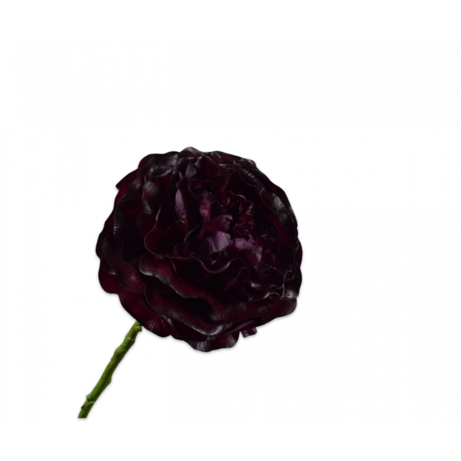 SILK-KA | Silk-ka | Ranonkel Steel | Bordeaux | 62cm