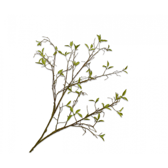 SILK-KA | Silk-ka | Wilgentak | Groen | 107cm